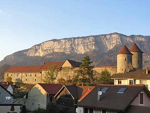 Bonneville, un aperçu des origine à nos jours