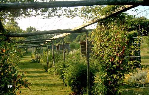 Jardin de l'un des sens
