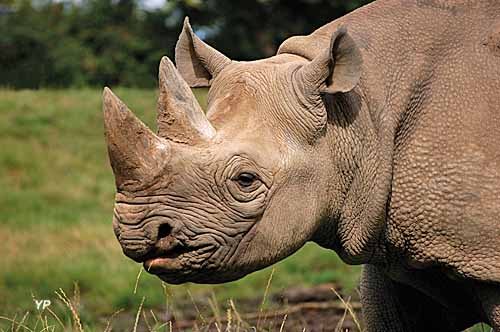 Zoo du Bassin d'Arcachon