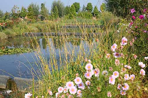 Parc Floral - jardin d'eau