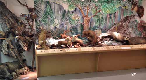 Musée Lac et Nature