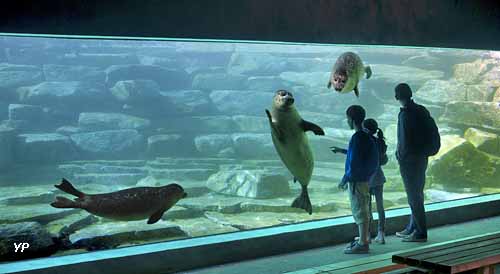 Parc animalier et botanique de Branféré - Aquavision