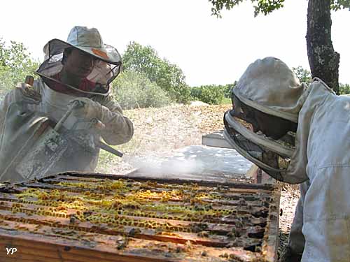 Musée du miel - travail sur les ruches