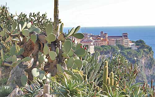 Jardin Exotique de Monaco