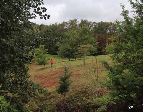 Arborétum des Pouyouleix