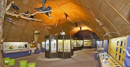 Muséum d'histoire naturelle