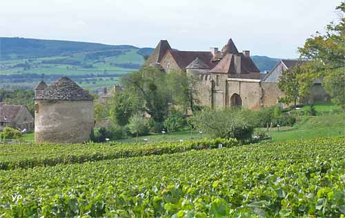 Château Pontus de Tyard