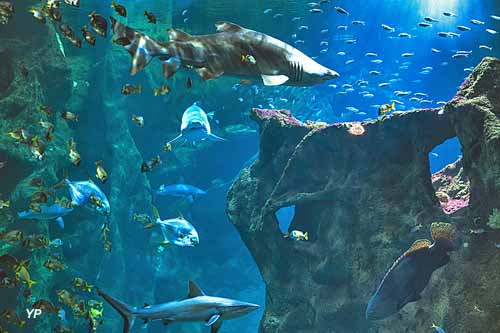 Aquarium La Rochelle
