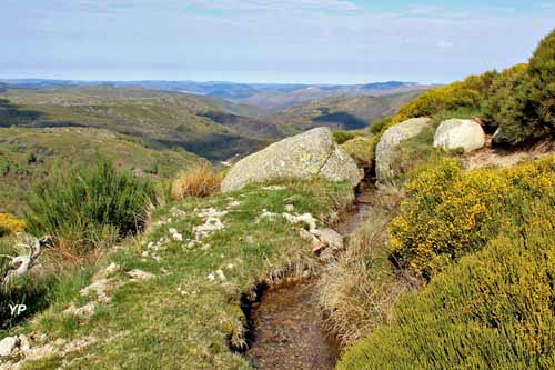 Béal de Felgerolles