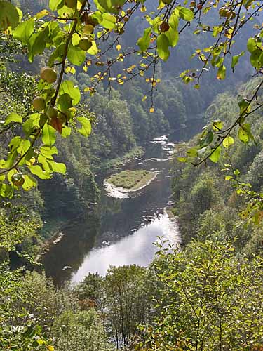 Belvédère des Vieilles Femelles