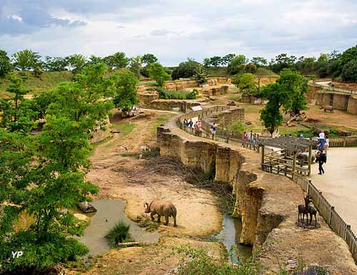 Vallée des rhinocéros