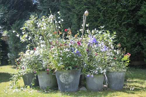 Buisson de la Gariole