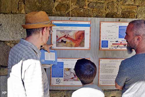 Centre de Découverte du Son