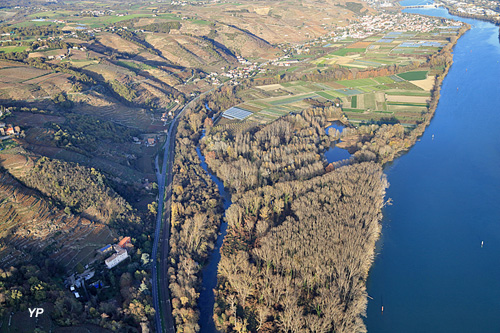 Centre d'Observation de la Nature de l'Île du Beurre