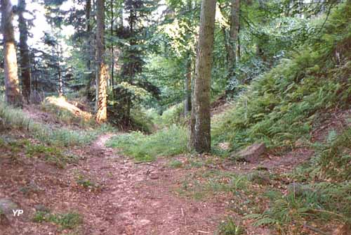 Ancienne route du sel à Obersteigen