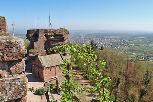 Château du Haut-Barr