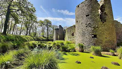 Château de Ranrouët