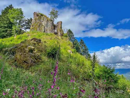 Château de la Roche
