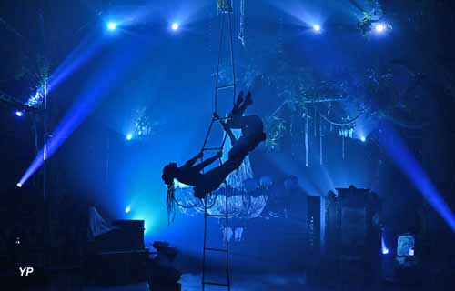 Cirque Th&eacute;&acirc;tre Bormann