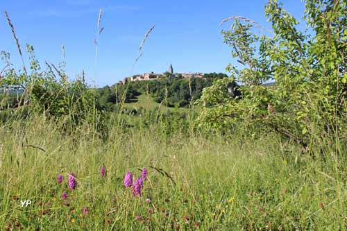 Conservatoire D&eacute;partemental d'esp&egrave;ces fruiti&egrave;res et vignes anciennes