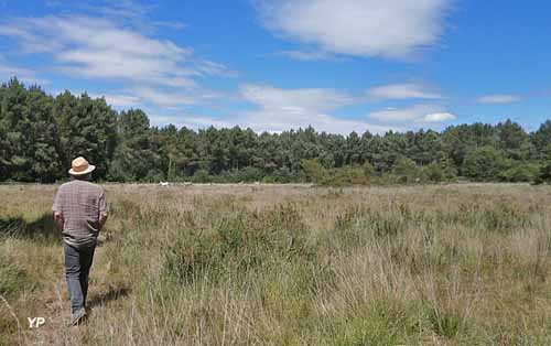 Espace naturel Yves-Donguy