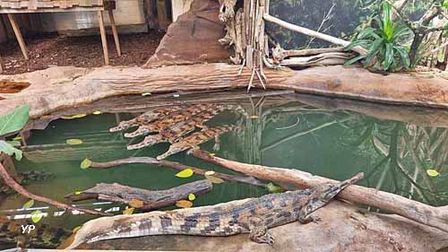 La Ferme aux Crocodiles - R&eacute;serve Tropicale