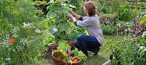 Le potager en Carrés à la Française