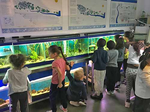 Maison de la Pêche et de la Nature