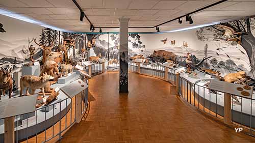 Salle Biodiversit&eacute; alsacienne