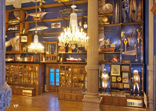 Cabinet de curiosités - OCEANOMANIA