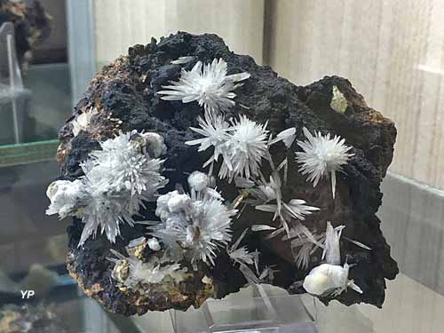 Aragonite - Gergovie