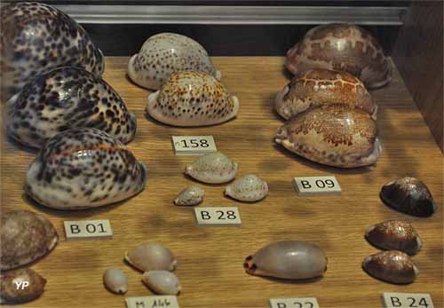 Museum d'Histoire Naturelle