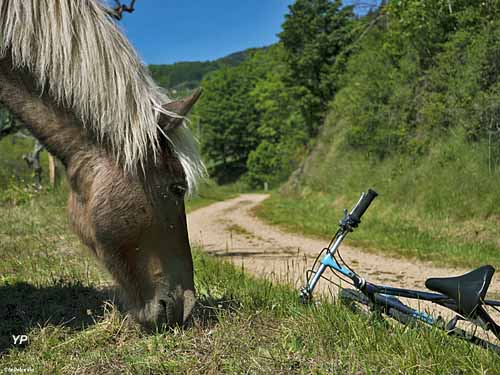 Office de Tourisme Ardèche Hautes Vallées - Antenne Le Cheylard