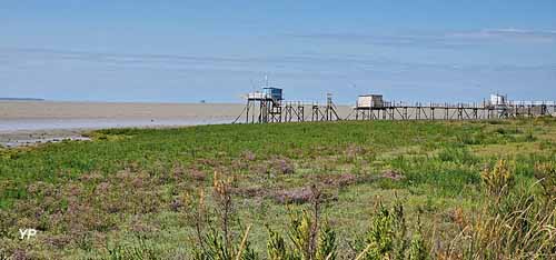 Office de tourisme de Fouras