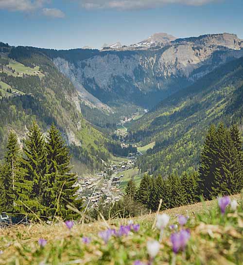 Office de tourisme de Morzine-Avoriaz