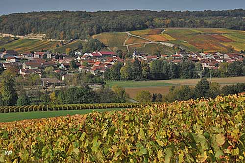 Office de tourisme du Pays de Bar-sur-Aube