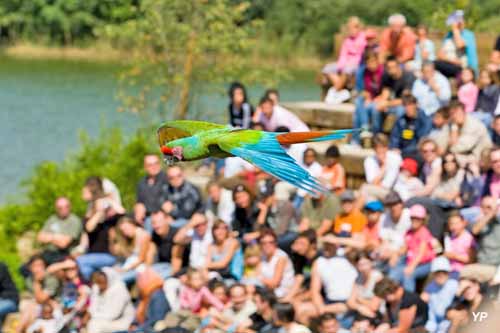 Parc des Oiseaux