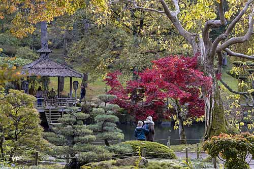 Parc Oriental de Maulévrier