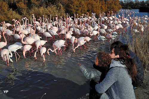 Parc ornithologique de Pont de Gau