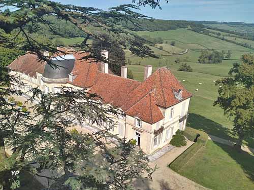 Potager fleuri du château de Lantilly