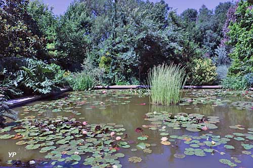 Reflets de Jardin