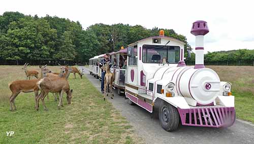 Réserve de Beaumarchais - Safari Train