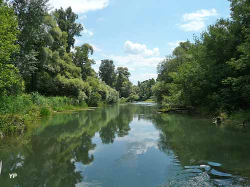 Réserve naturelle de l'Île de Rhinau