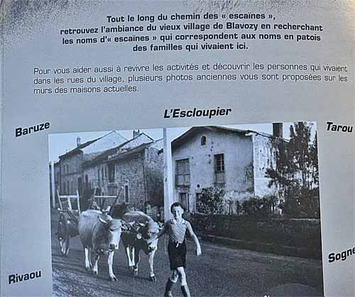 Sentier des Esca&iuml;nes