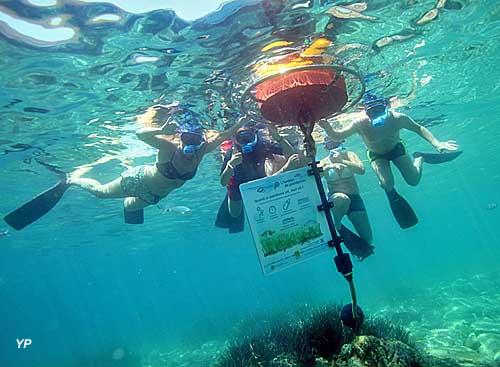 Sentier sous-marin de la Réserve Naturelle Marine de Cerbère-Banyuls