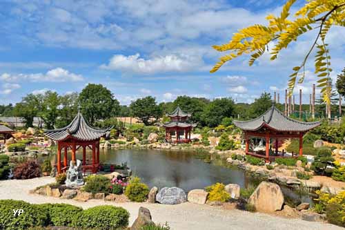 Tropical Parc - jardin chinois