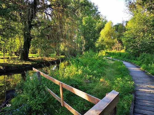 Zone humide des Prés Patouillats