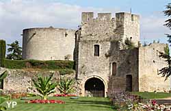 Château-fort de Gisors - tour du Gouverneur