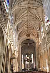 Basilique Notre-Dame - nef