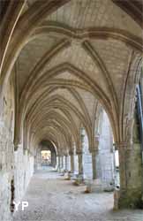 Abbaye Saint-Jean-des-Vignes - cloître